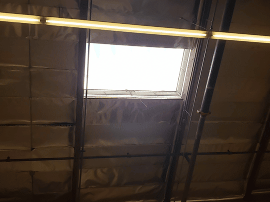 Commercial Skylight