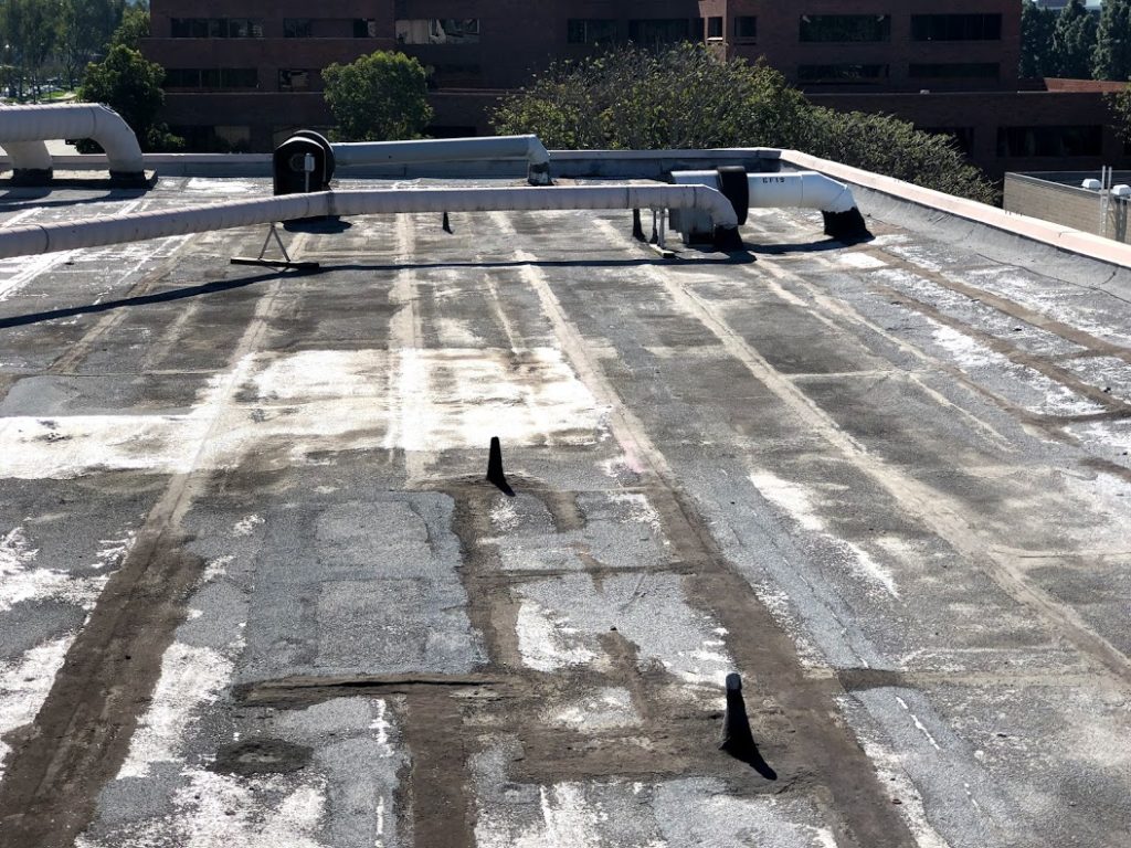 Neglected Commercial Roof Damaged Commercial Roof