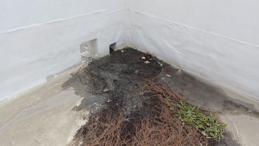 Commercial Roof Drain