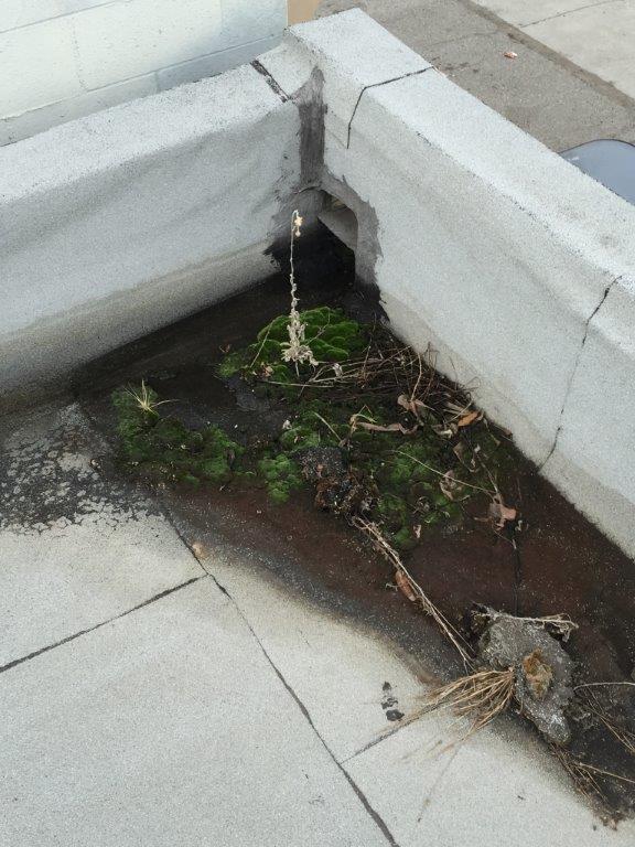 Commercial Roof Inspection Debris