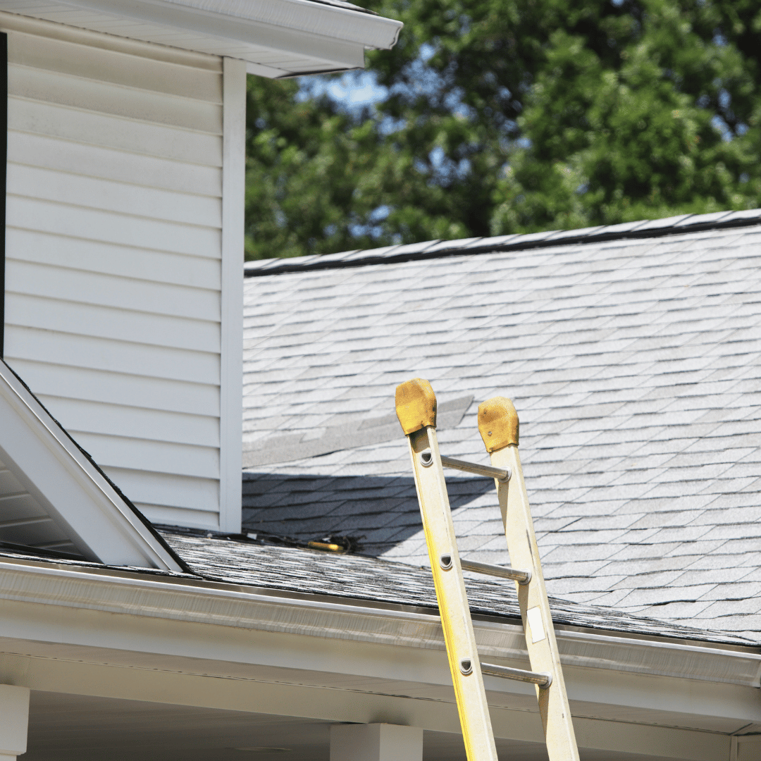 Shingle Roof