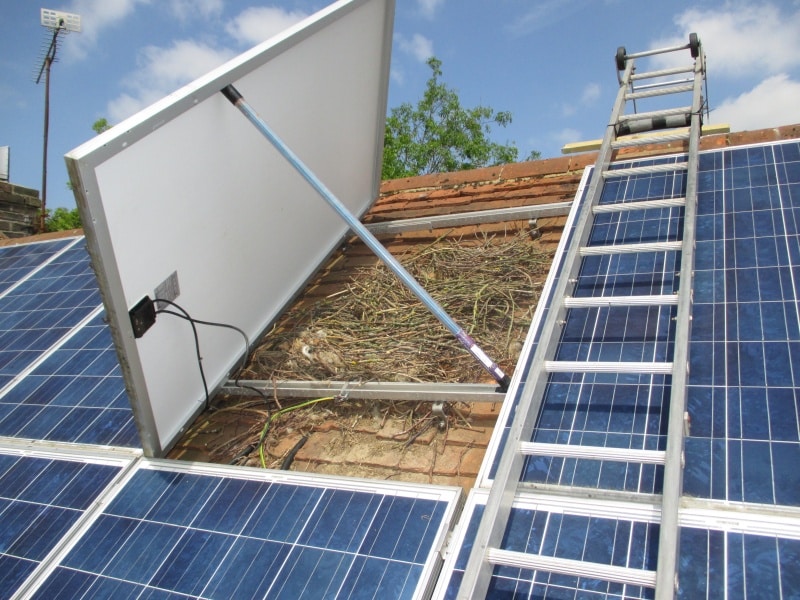 Animal nest under solar panel on roof